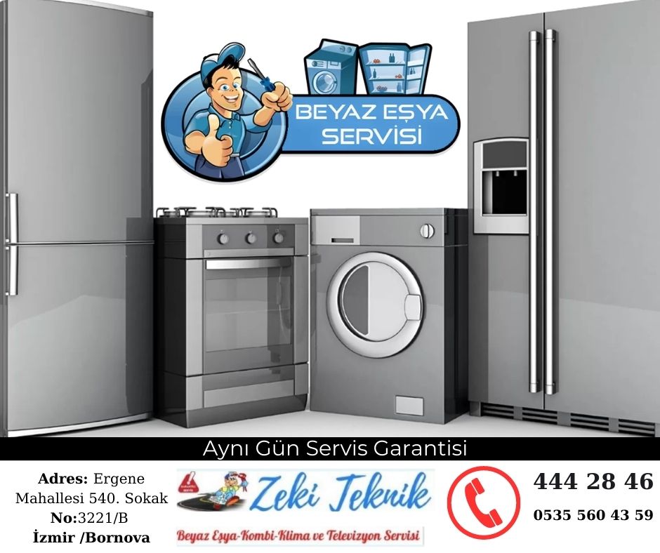 Bornova Lg Servisi
